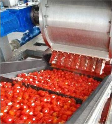 Linii de procesare legume si fructe de la Tecno Mecanica Ind. - T.m.i. Srl.
