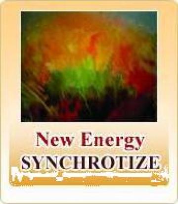 Training curs New Energy Synchrotyze