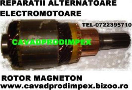 Rotor electromotor Magneton 2,7 kw/ 12 V de la Cavad Prod Impex Srl