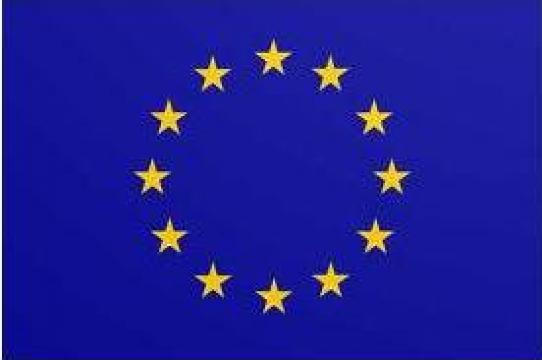 Steag Uniunea Europeana de la Akilex Conf S.r.l.