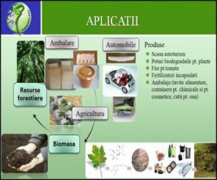 Tavite ambalaje alimentare biodegradabile Forbioplast de la Rodax Impex Srl
