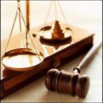 Redactare documente litigii si arbitraj