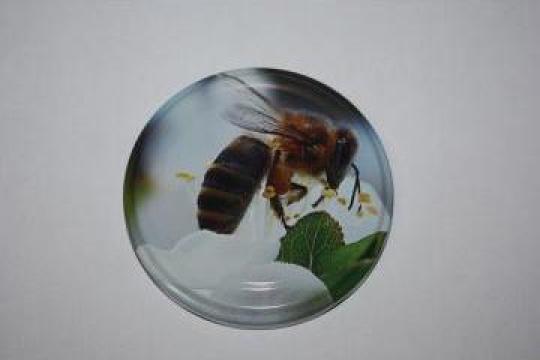 Capac pentru borcan miere de albina M2 de la Gipatex