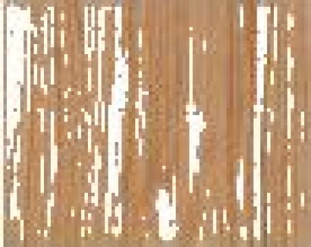 Furnir estetic si tehnic de suprafata si de cant de la Furnir Wood Global