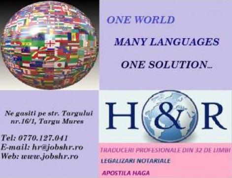 Traduceri profesionale din 32 de limbi