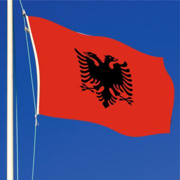 Steag Albania de la Color Tuning Srl
