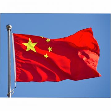 Steag China de la Color Tuning Srl