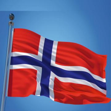 Steag Norvegia de la Color Tuning Srl