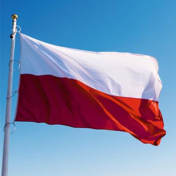 Steag Polonia de la Color Tuning Srl