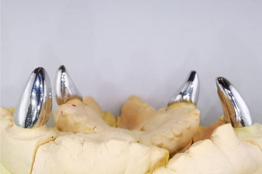 Coroane dentare pentru caini de la DentoVet