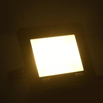 Proiectoare cu LED, 50 W, 2 buc., alb cald