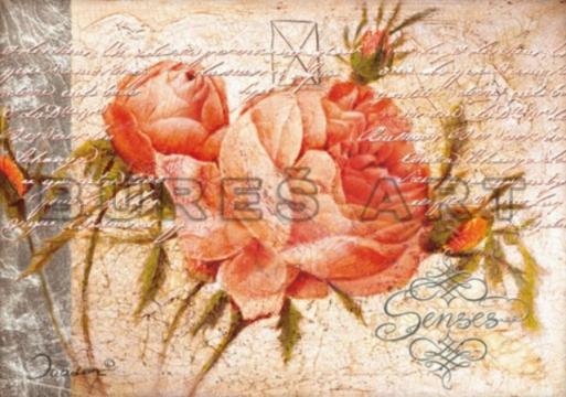 Tablou Trandafir cu boboci inramat de la Arbex Art Decor