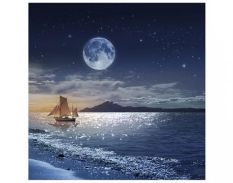 Fototapet Pe mare sub clar de luna de la Arbex Art Decor