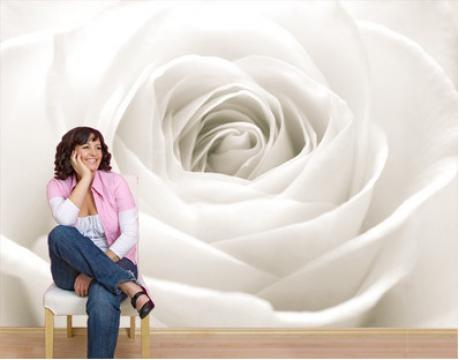 Fototapet floral Trandafir alb de la Arbex Art Decor