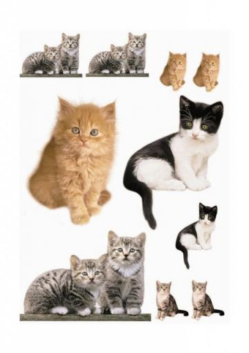Sticker de copii Kitty de la Arbex Art Decor