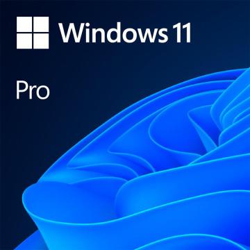 Microsoft Windows 11 Pro, 64 bit, engleza, OEM, DVD de la Etoc Online
