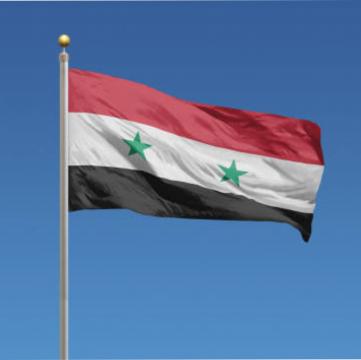Steag Siria de la Color Tuning Srl