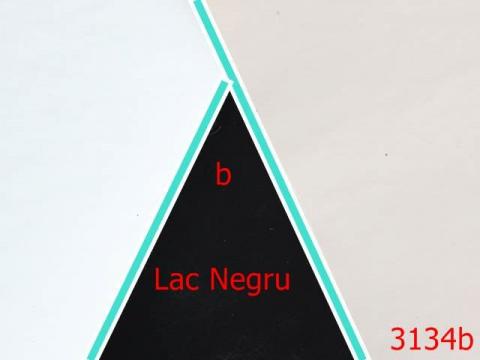 Piele lac 1.4 ML negru 3134b