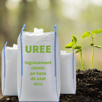 Uree - cel mai concentrat fertilizant simplu solid cu azot de la Acvilanis Grup Srl