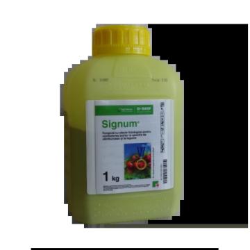 Fungicid pentru tomate si samburoase Signum 1kg