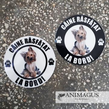 Sticker auto Yorkie - diverse modele de la Arhi Ecus Srl