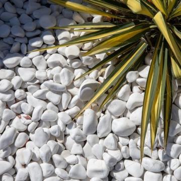 Marmura alba Pebbles Thassos 1-3 cm kg