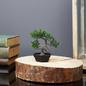 Decor plante artificiale - bonsai - 10 x 13 cm de la Rykdom Trade Srl