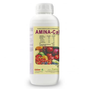 Ingrasamant lichid de calciu cu aminoacizi Amina Cal de la Lencoplant Business Group SRL