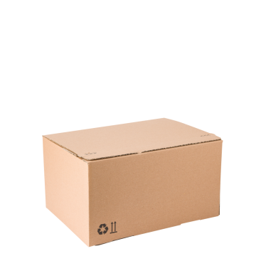 Cutii carton 255 x 180 x 160 mm, 10 buc de la West Packaging Distribution Srl