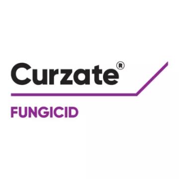 Fungicid Curzate, 1 litru, Corteva de la Dasola Online Srl