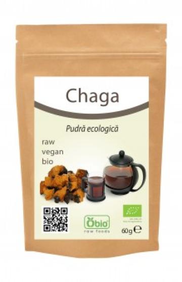 Pulbere bio Chaga 60g Obio