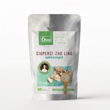 Pudra bio Ciuperci Zhu Ling, 60g, Obio de la Supermarket Pentru Tine Srl