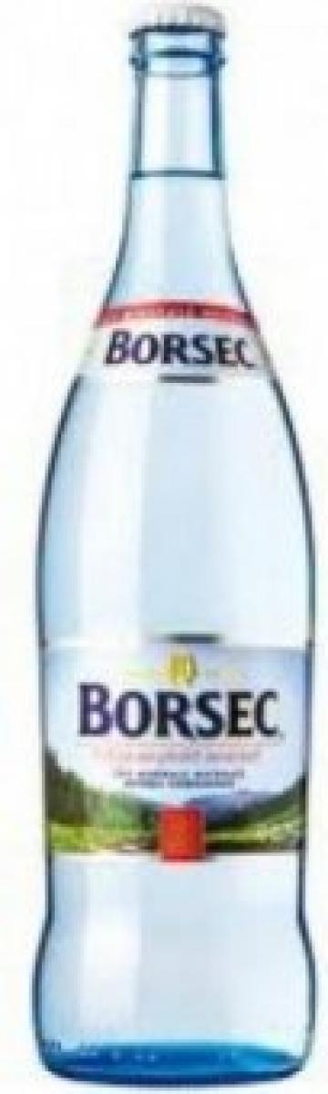 Apa plata Borsec 0.75l stica SGR de la Supermarket Pentru Tine Srl