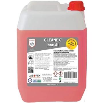 Dezincrustant Cleanex Inox-Al 5 kg de la IV & P Instalatii Srl