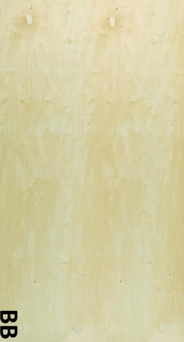 Placaj mesteacan BB/C 21mm 1525x1525mm de la URBANIX SRL