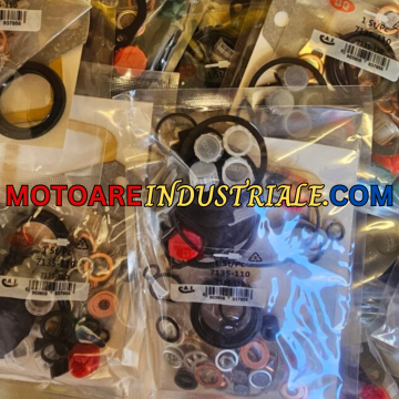Set garnituri pompa injectie 7135-110