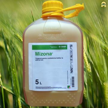 Fungicid grau si orz (T1/T2) Mizona 5 L - Corteva/BASF