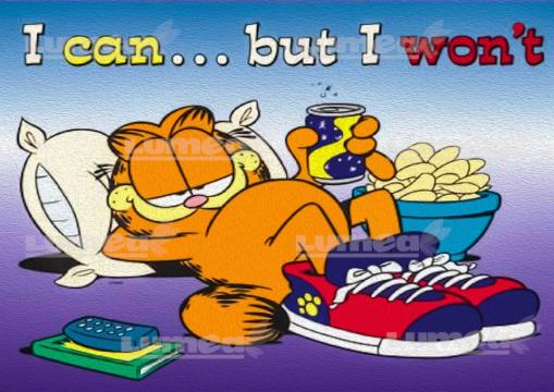 Vafa tort Garfield Clasic - Lumea