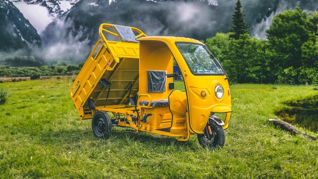 Triciclu electric tricicluri electrice Tuk Tuk AMR 350 de la Amr Elektro Cargo