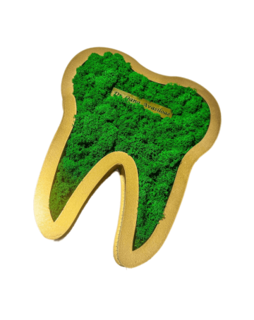 Decoratiune Molar Maestrul Lichenas, personalizat cu licheni de la Academart World Design Srl