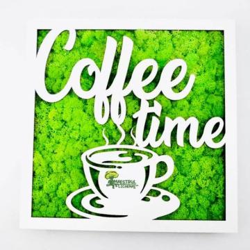 Tablou Coffee time decorat cu licheni naturali