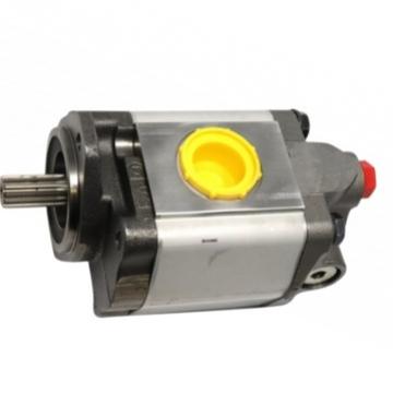 Pompa hidraulica Hyster HY137787 de la SC MHP-Store SRL