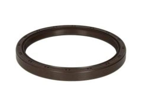 Simering, arbore cotit 110x130x13, 1966693C1