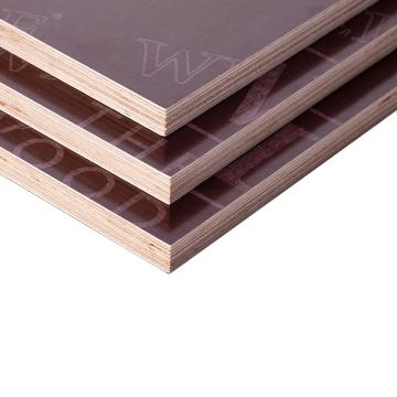 Placi Tego 8mm, 1.25x2.5m Premium de la URBANIX SRL
