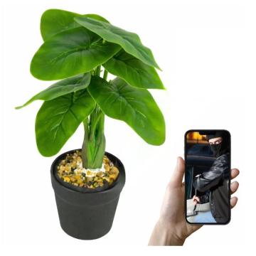 Camera ascunsa in floare decorativa WiFi Full HD