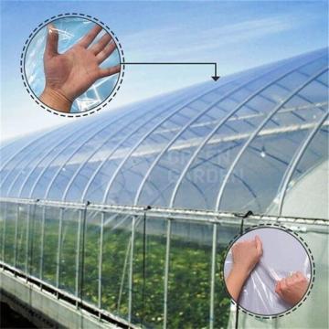 Folie solar Clara 200 microni, latime 8 m
