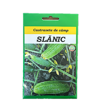 Seminte castravete de camp Slanic 10 gr, SCDL Buzau