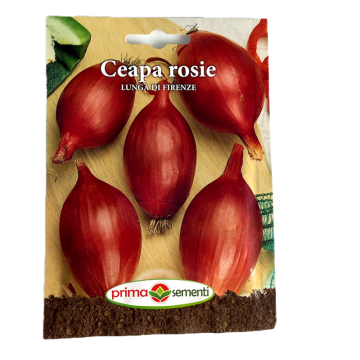 Seminte ceapa rosie Lunga Di Firenze 1,5 gr, Prima Sementi