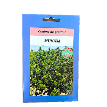 Seminte cimbru de gradina Mircea 5 gr, SCDL Buzau