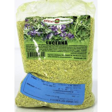 seminte lucerna